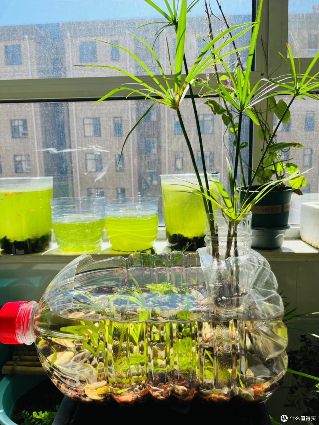 空油桶千万别扔了，这样改造一下，一年省下好几百，这方法太棒了