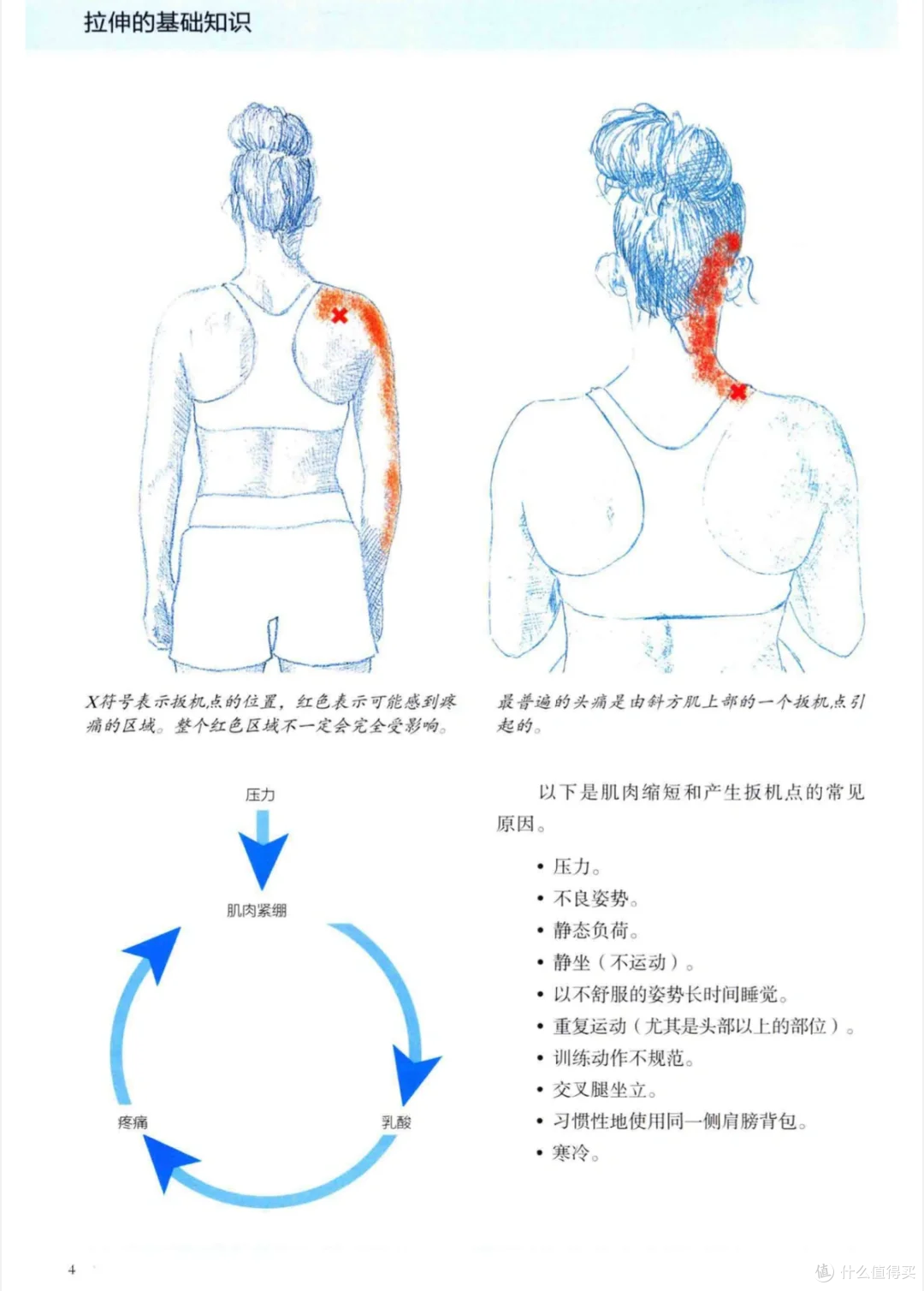 健身先健脑,如果在运动前我读过这些书多好!小白健身的营养书单