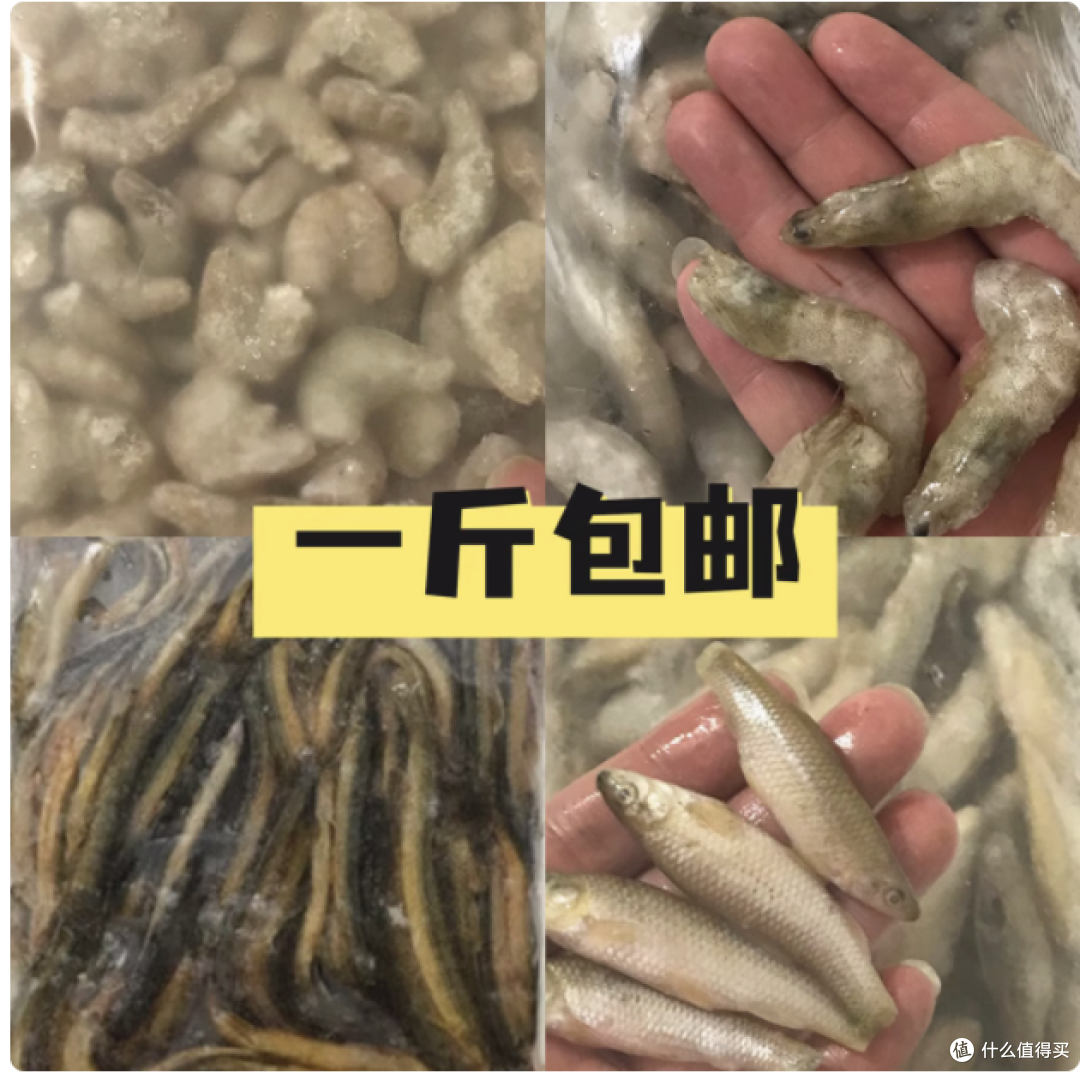 观赏鱼的绝佳美食:新鲜冻虾鱼饲料、小河虾与红虫