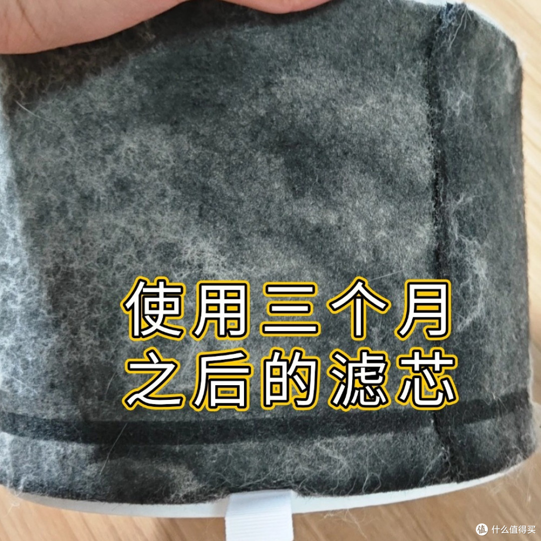 猫毛空气净化器好用吗?分享小米、希喂多款猫毛空气净化器测评!