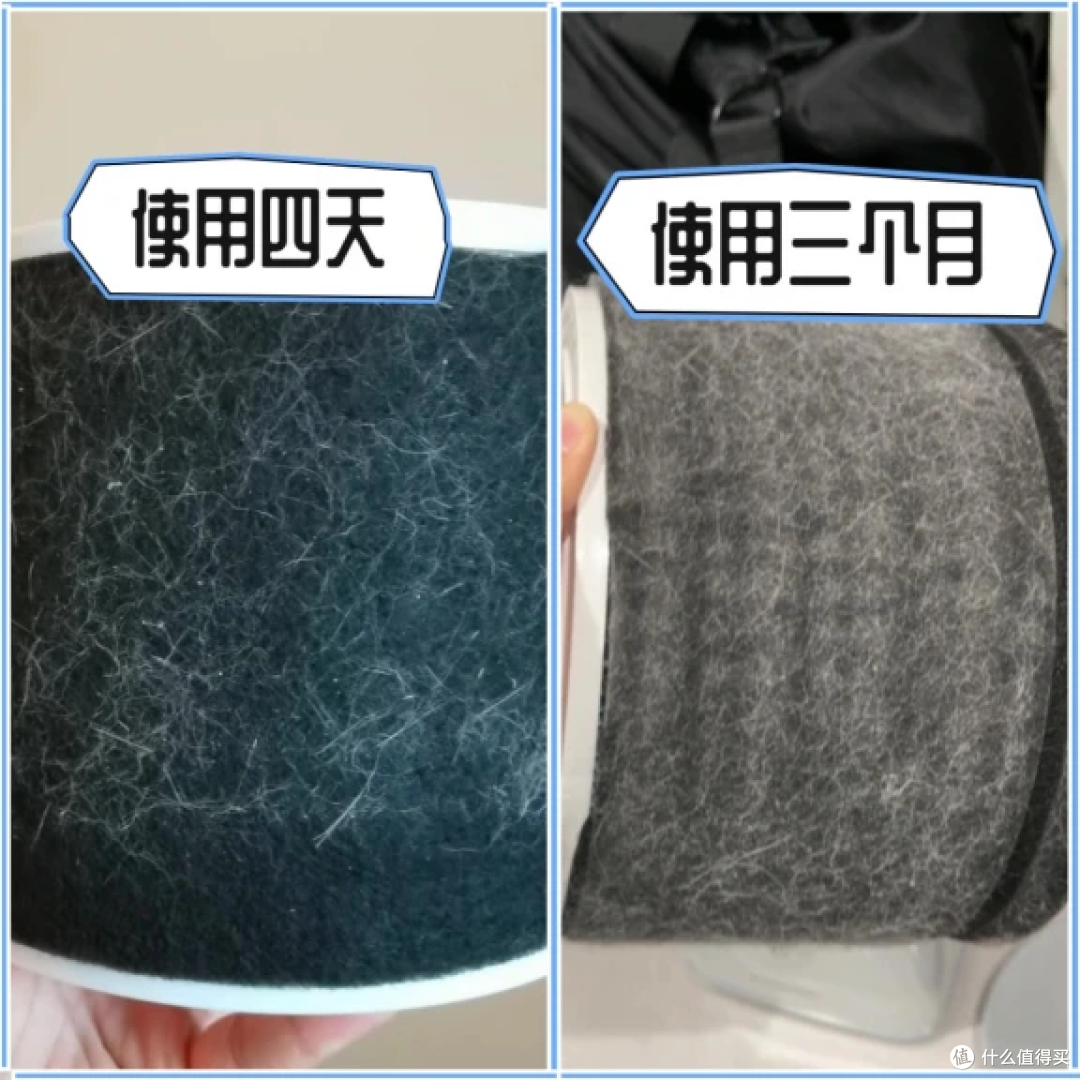猫用空气净化器选哪种?养猫空气净化器推荐,附多款产品实测