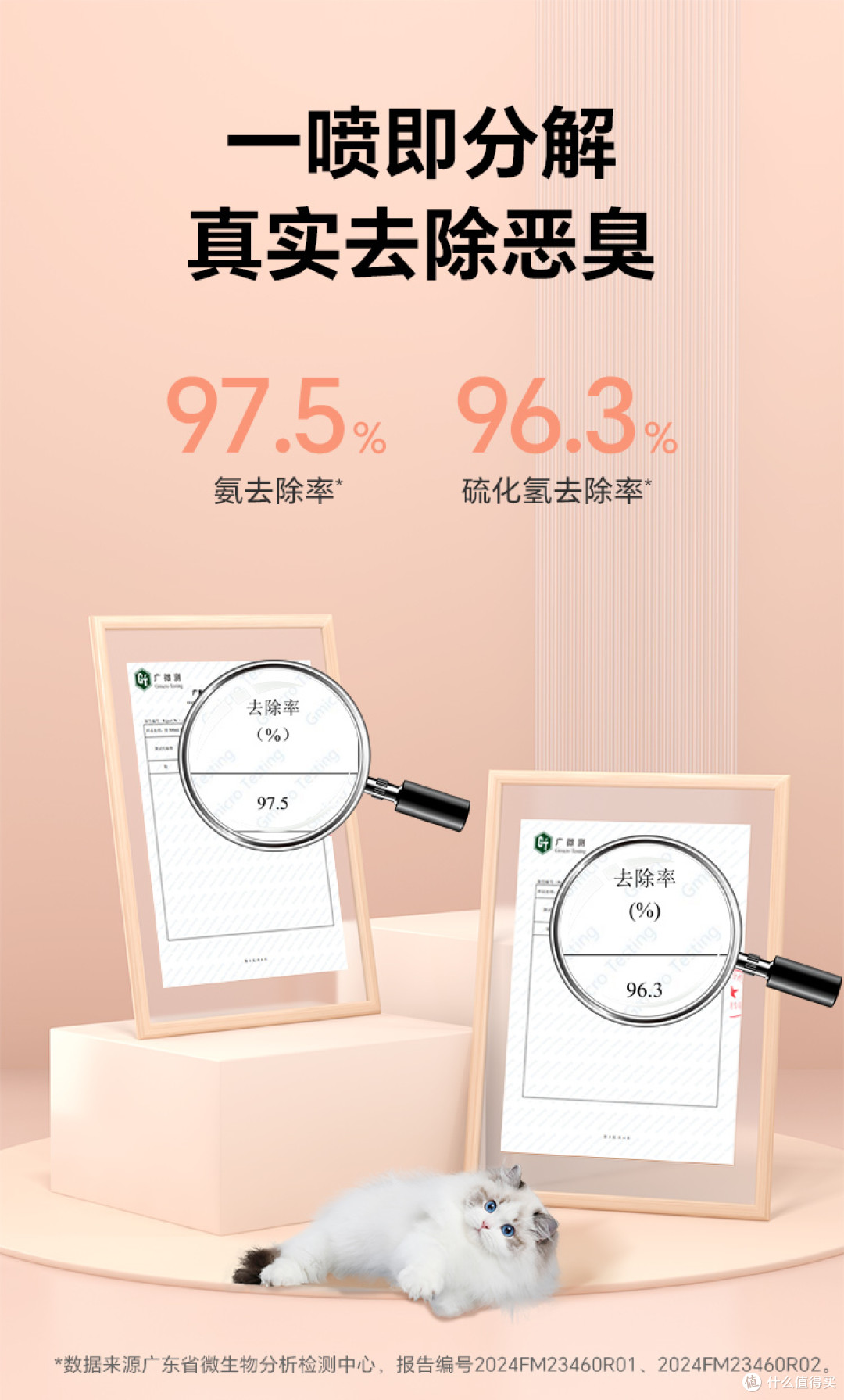 5 只猫的家不臭了!这瓶让我敢在猫砂盆旁吃火锅