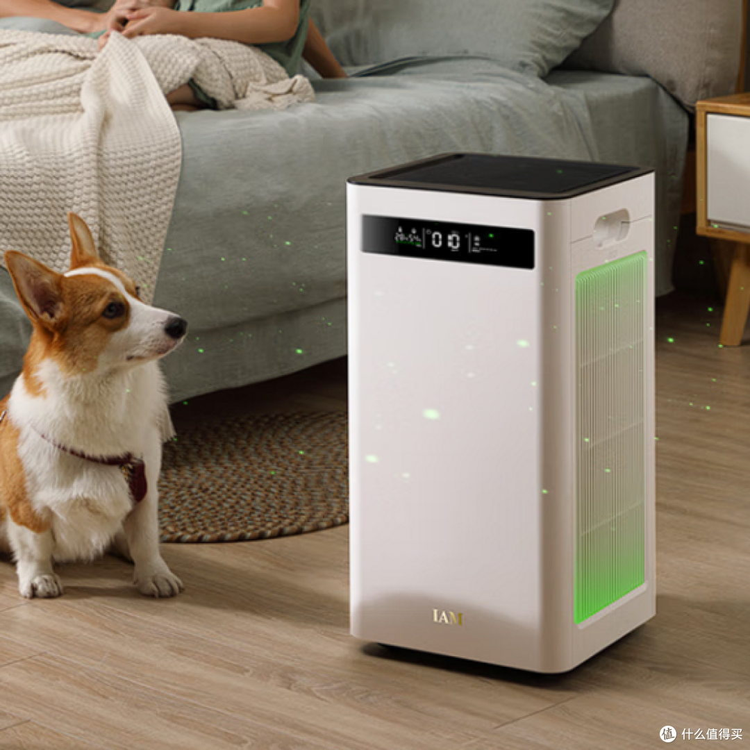 猫毛空气净化器哪个好?好用的猫用空气净化器推荐!真实性能揭秘