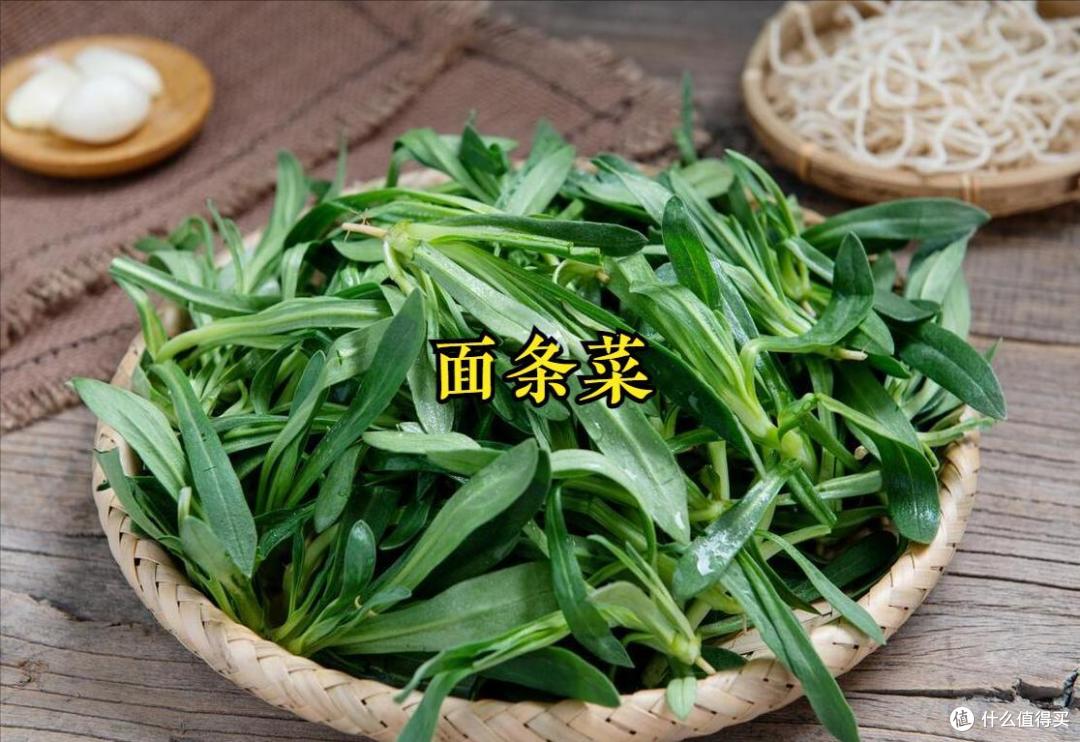 踏青挖野菜,20种常见的野菜图鉴,看看都认识不