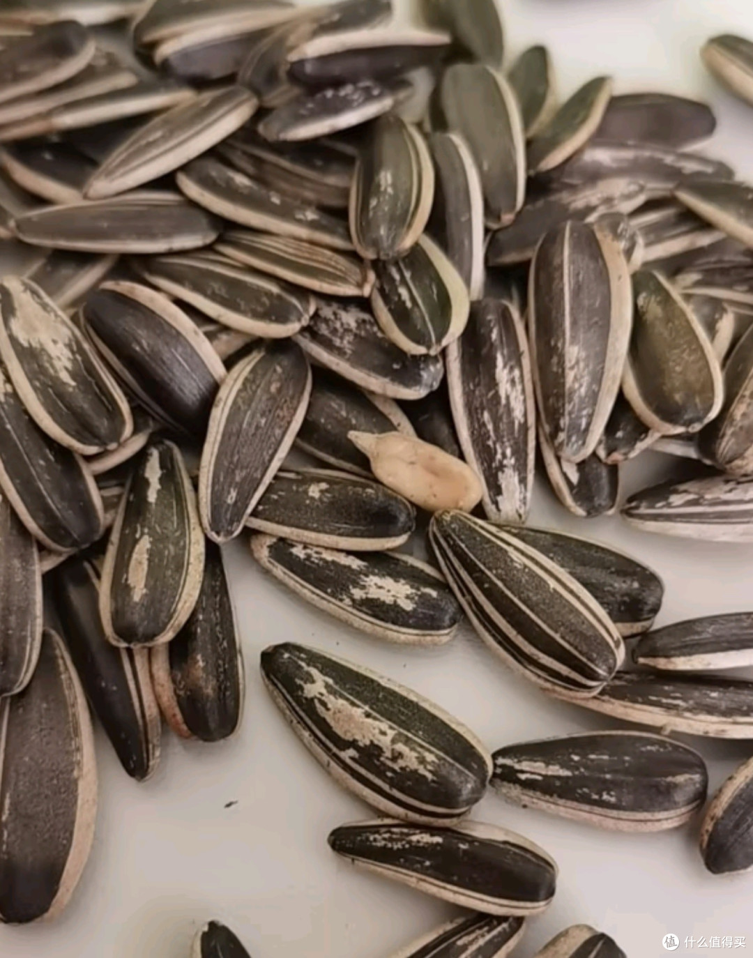 京东京造原味瓜子500g：绿色健康，办公室休闲零食新选择