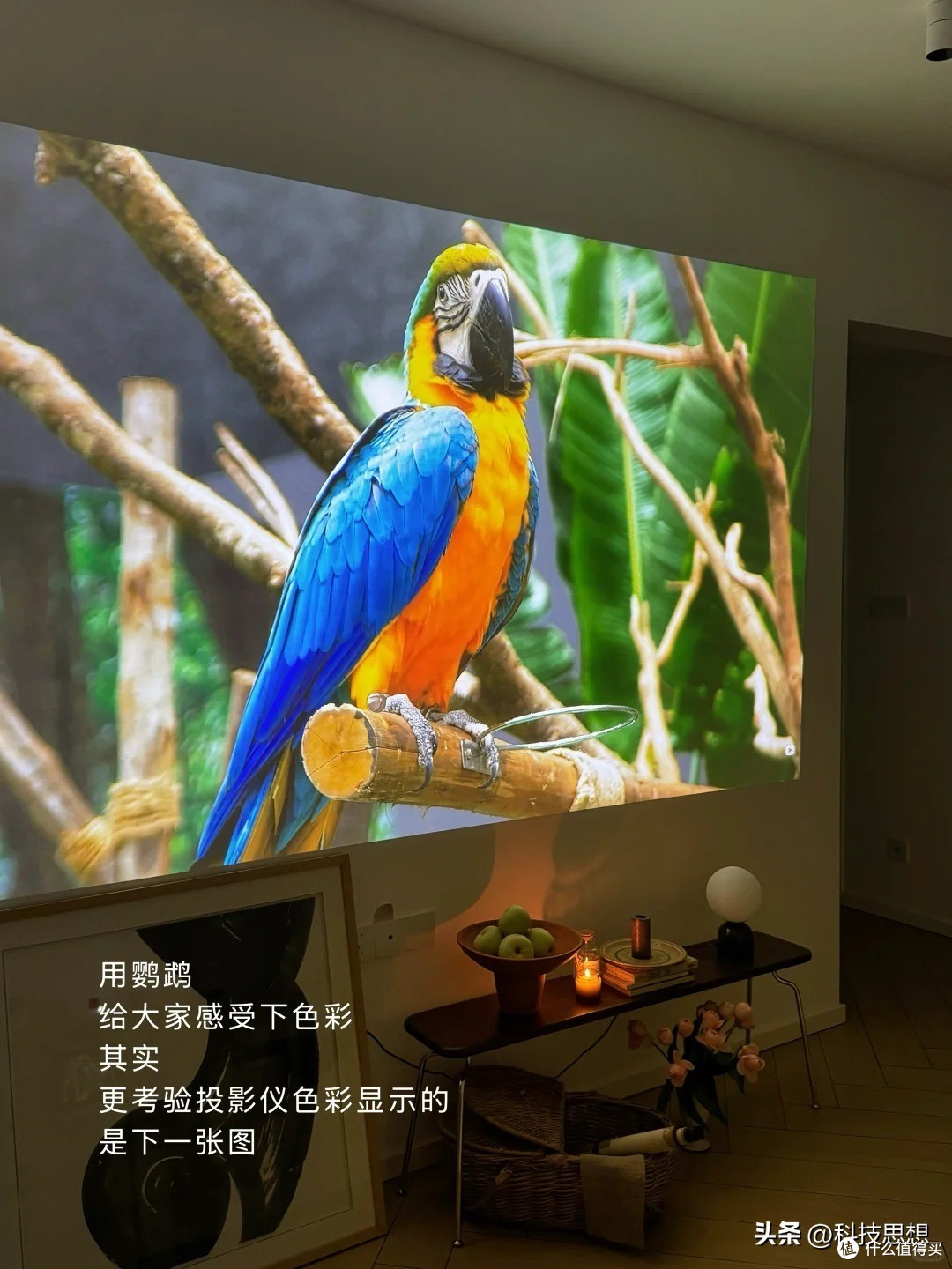 2025家用投影新选择：当贝F7 Pro，清晰度与性价比并存