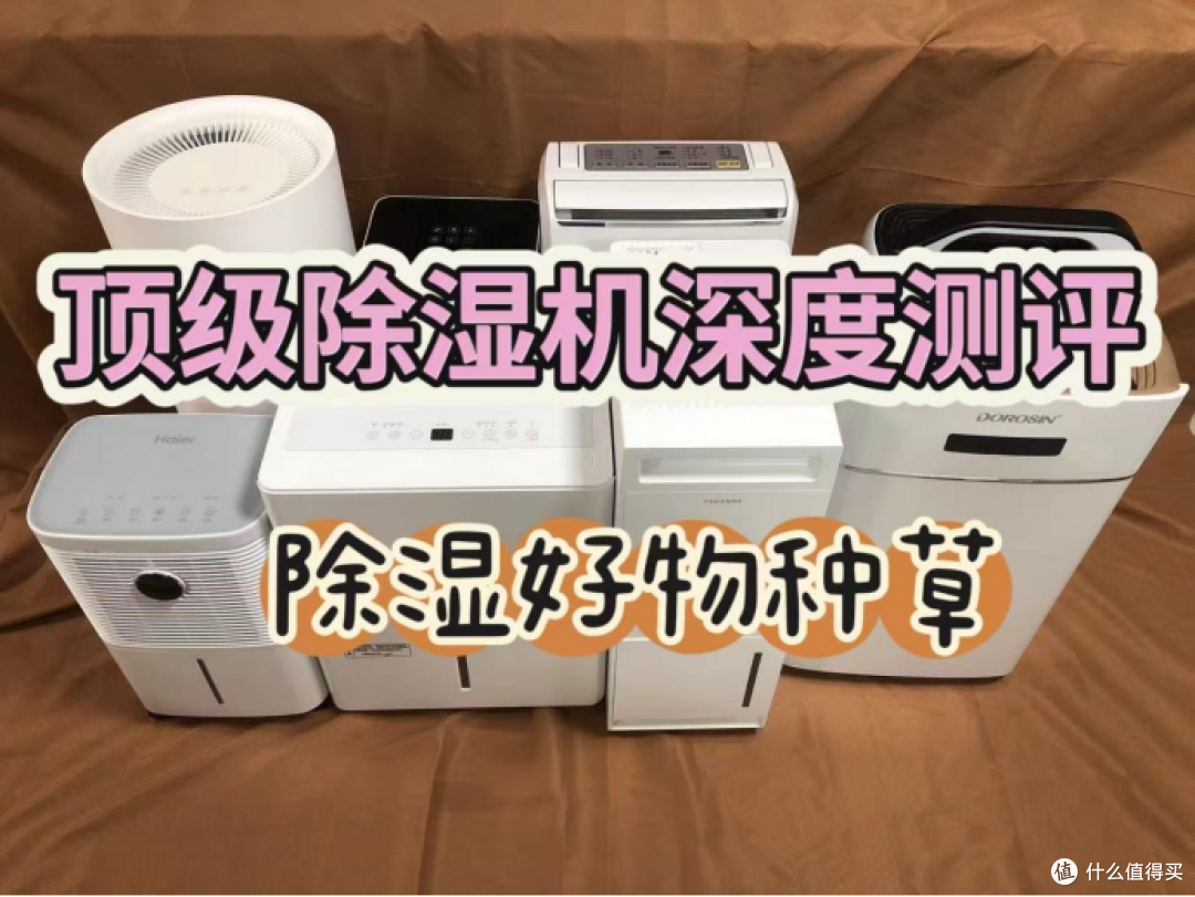 除湿机哪个品牌最好最实用？2025十大品牌排名实测推荐揭晓！