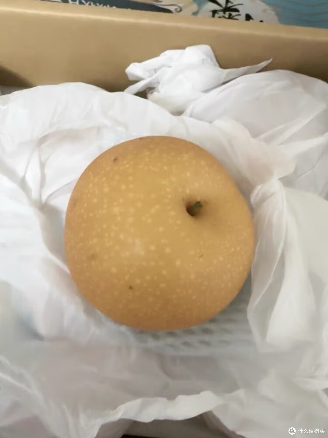 莱阳梨真甜