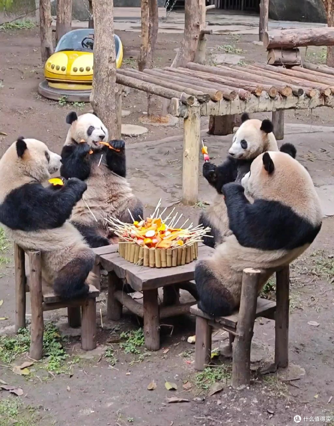 图源：网络