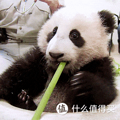 图源：网络