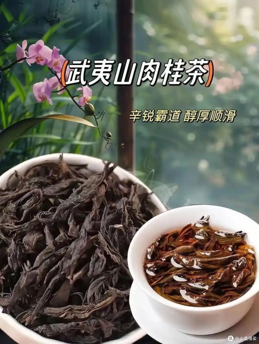 大红袍、肉桂、水仙的区别,差别竟然如此惊人,多了解喝好茶!