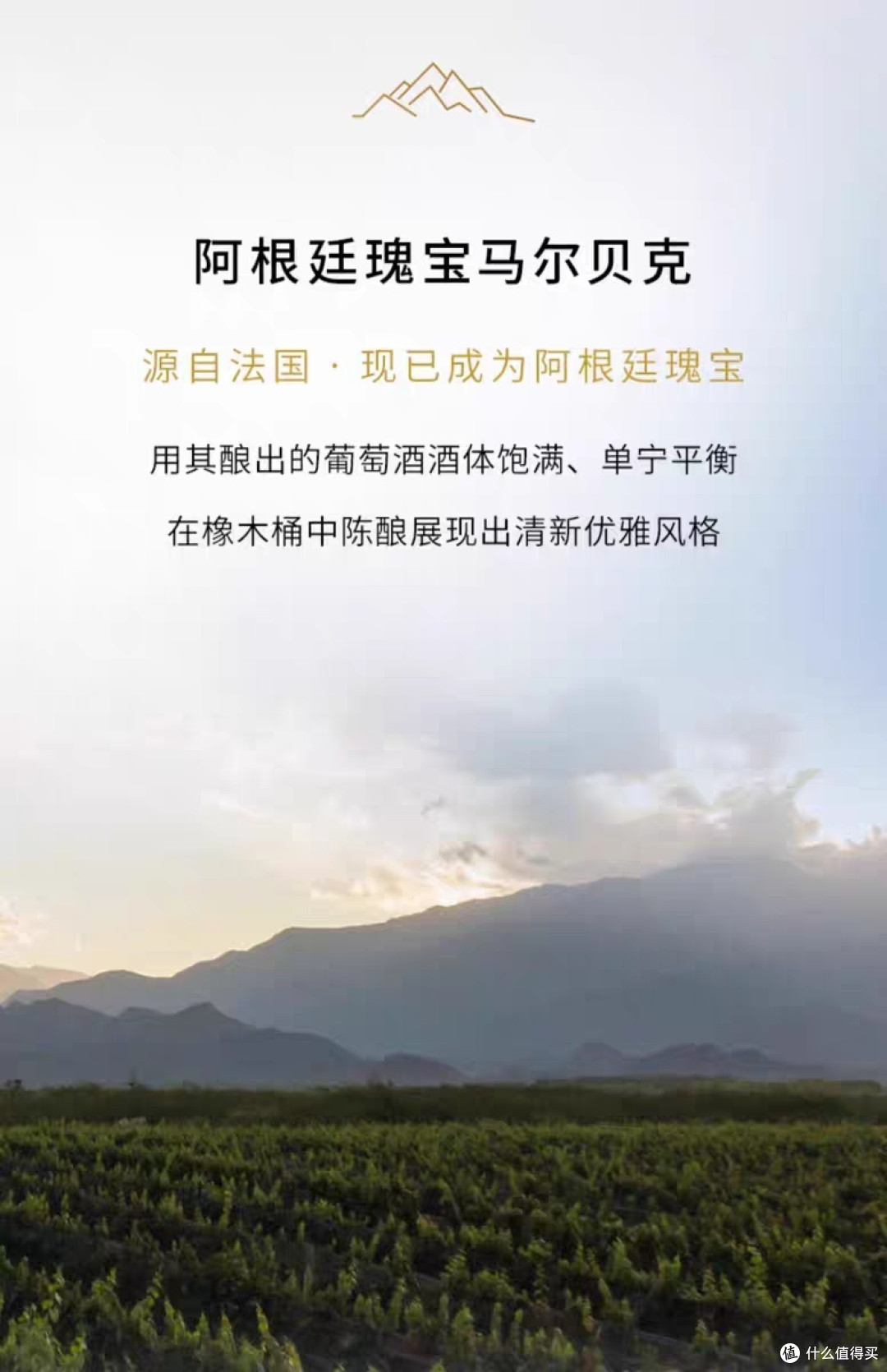 最后一瓶台阶1100给我的小背刺!