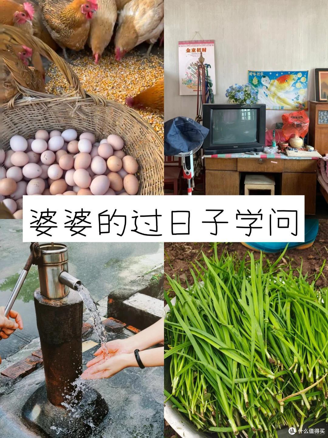 云南一婆婆的退休生活火了,不拖累儿女,一人耕耘,那叫一个治愈