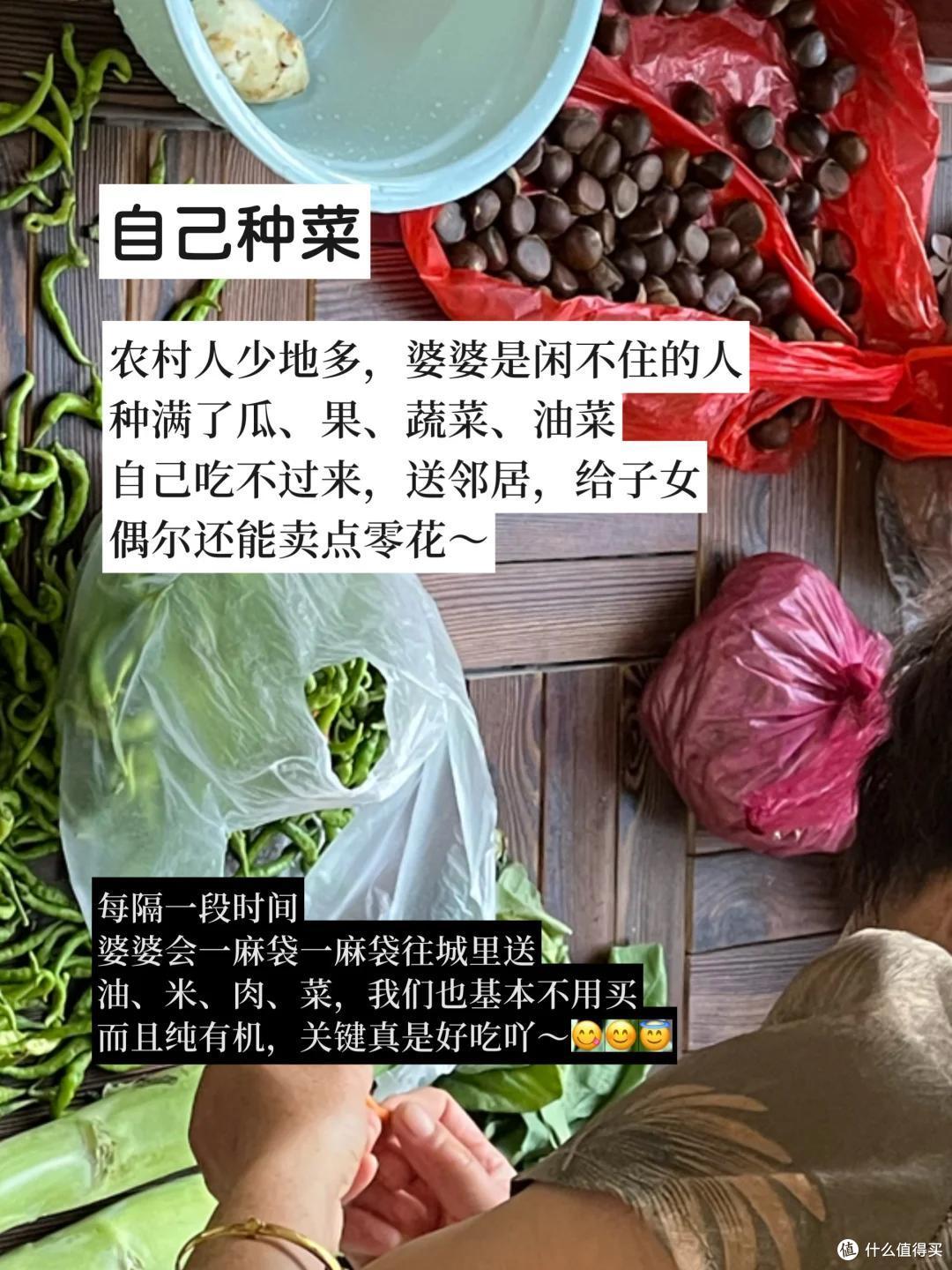 云南一婆婆的退休生活火了,不拖累儿女,一人耕耘,那叫一个治愈