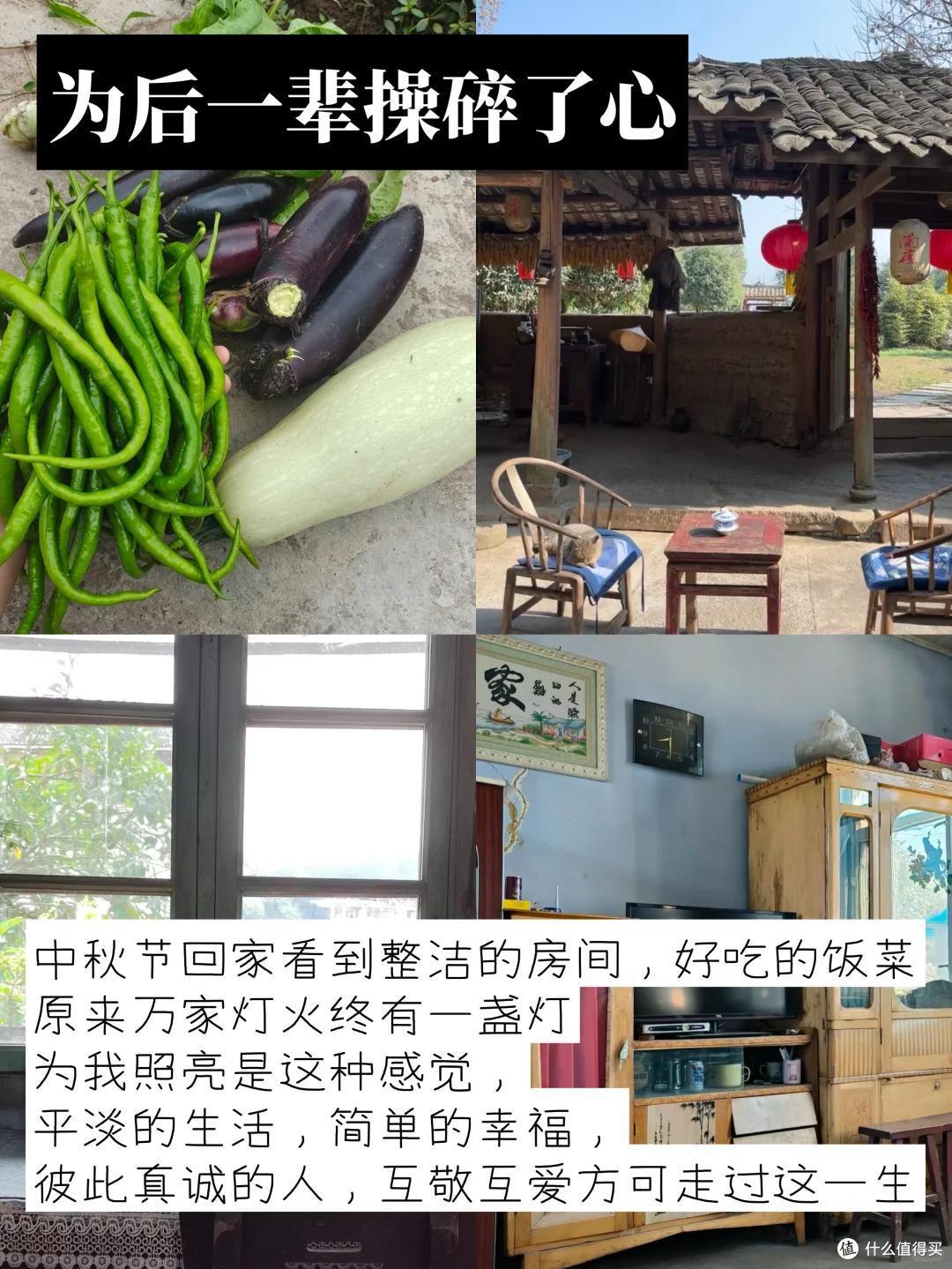 云南一婆婆的退休生活火了,不拖累儿女,一人耕耘,那叫一个治愈