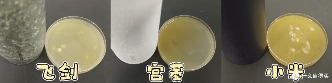 飞剑、宫菱、小米保温杯怎么样?如何选?实力派品牌测评大对决!