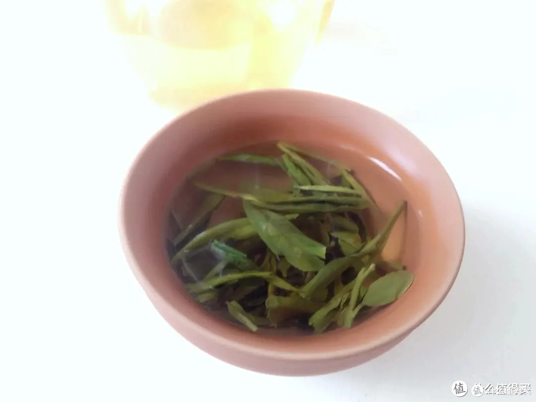 初春的光景,悠长的诗意,品茶的 心情