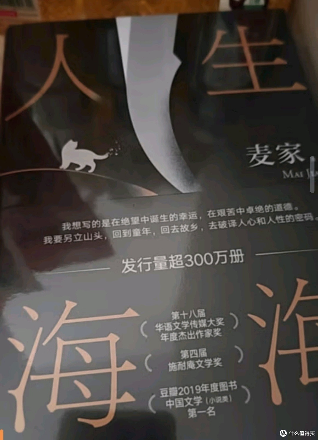 《人生海海》:麦家的文学奇迹,探索生命的无限可能🌟