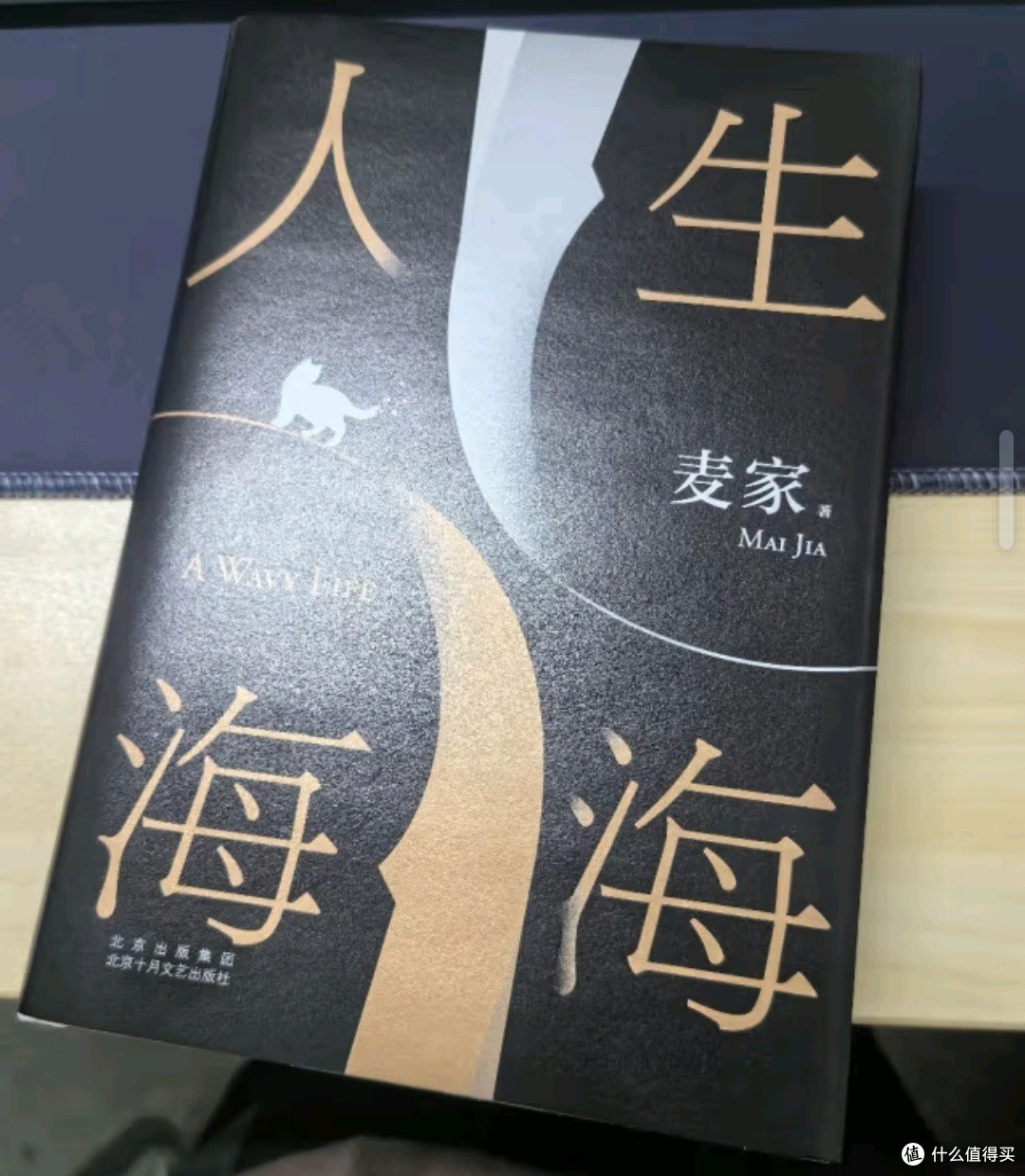 《人生海海》:麦家的文学奇迹,探索生命的无限可能🌟
