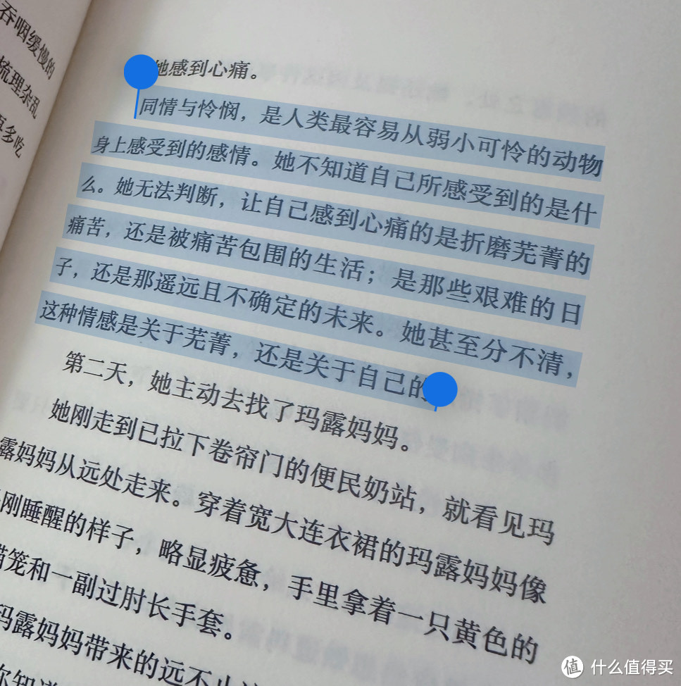 被网暴的中年人，被霸凌的少女，要如何自救？