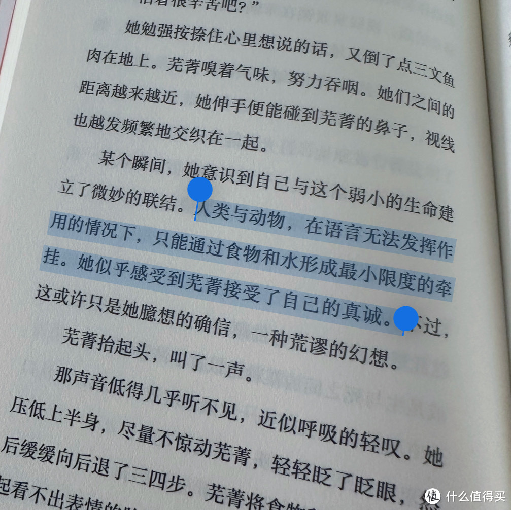 被网暴的中年人，被霸凌的少女，要如何自救？