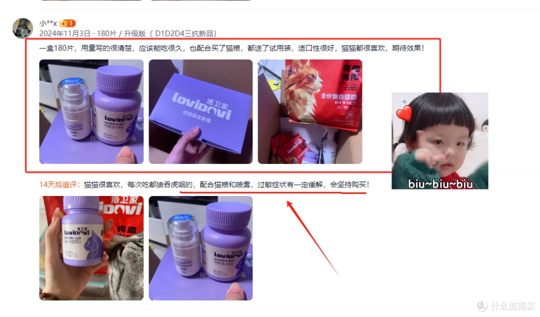 我不再是猫毛过敏的“牺牲者”了！洛卫家帮我成功抵御猫毛过敏