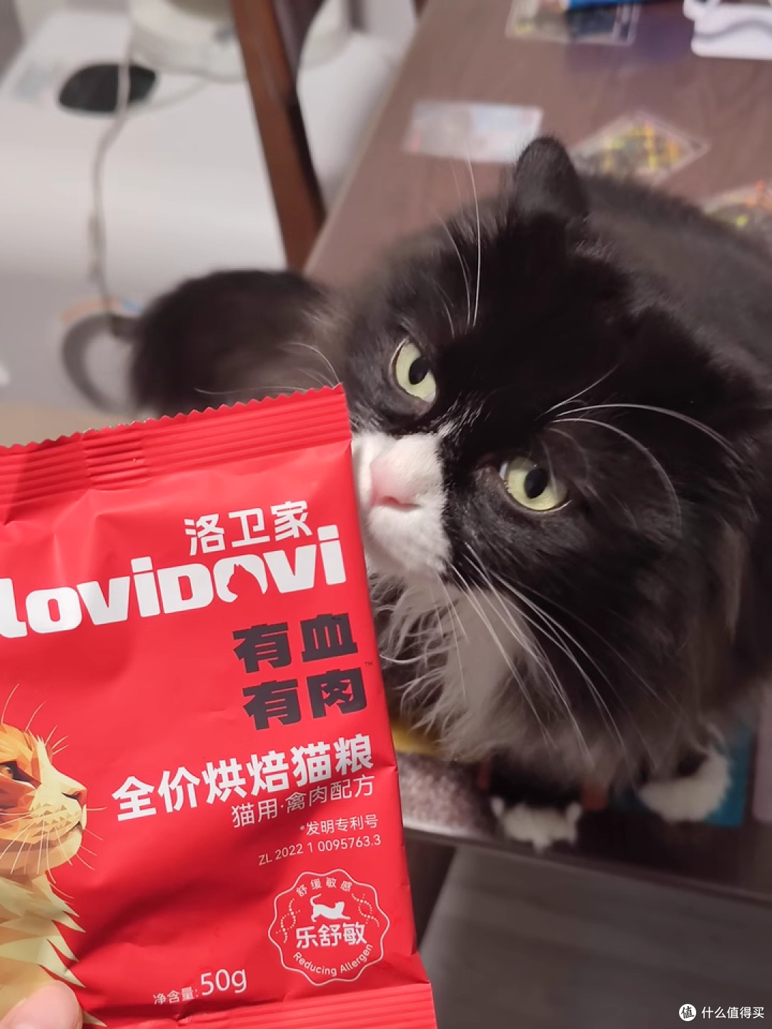 我不再是猫毛过敏的“牺牲者”了！洛卫家帮我成功抵御猫毛过敏