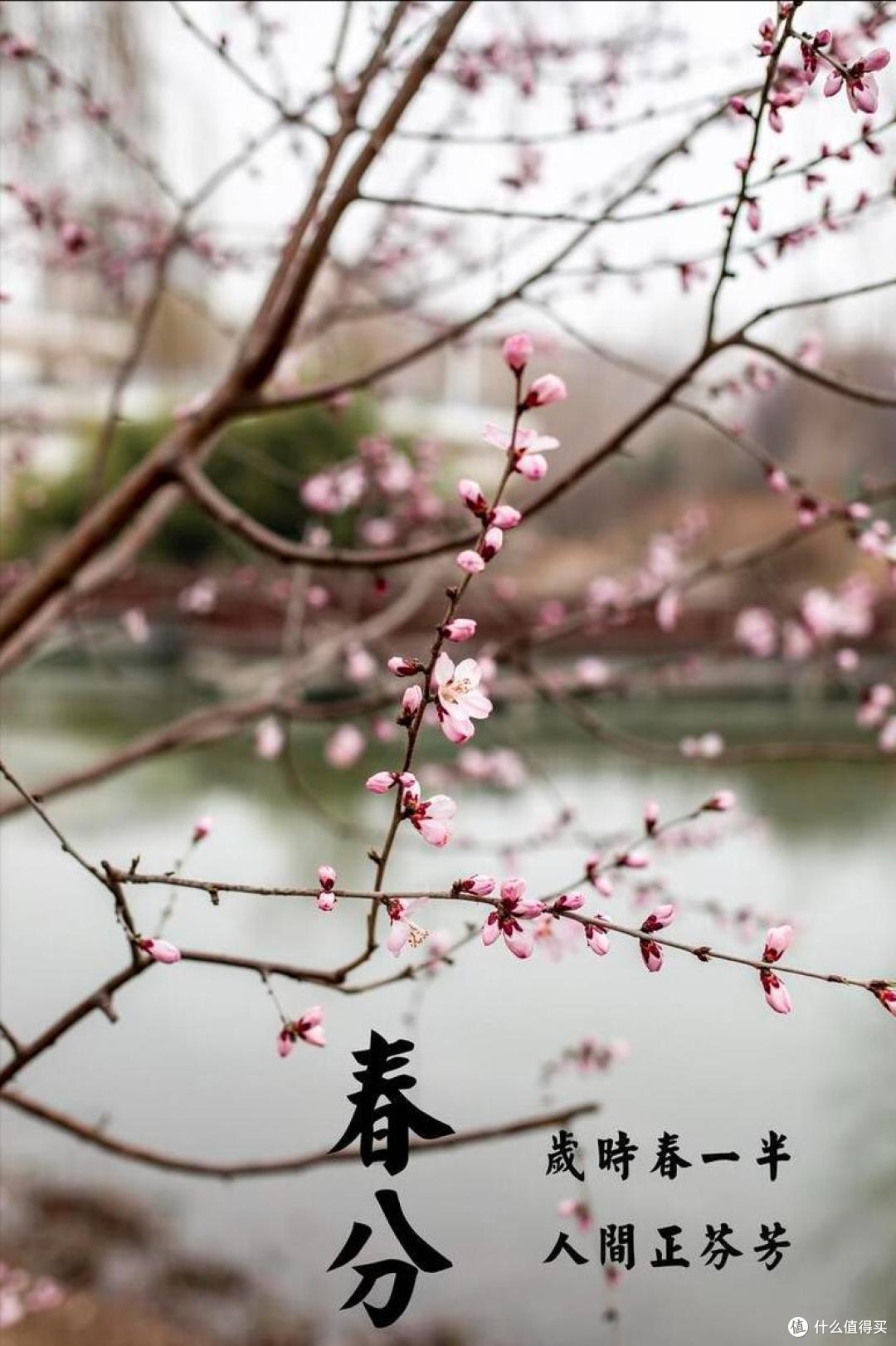 3月20号春分,中医建议:做3事、吃3物,调整作息,健康少生病