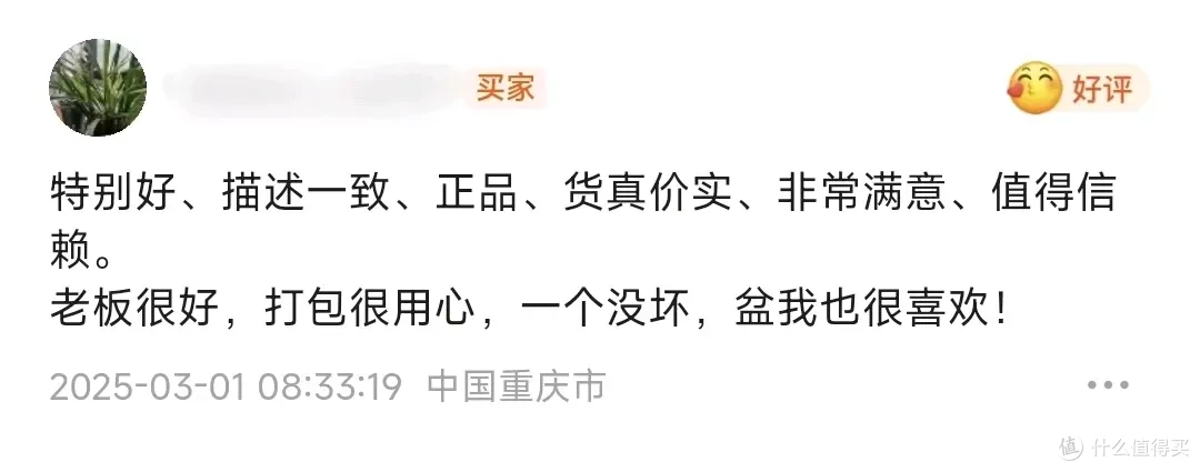 胜！40岁佛山石湾瓦盆迎战3000里快递暴击