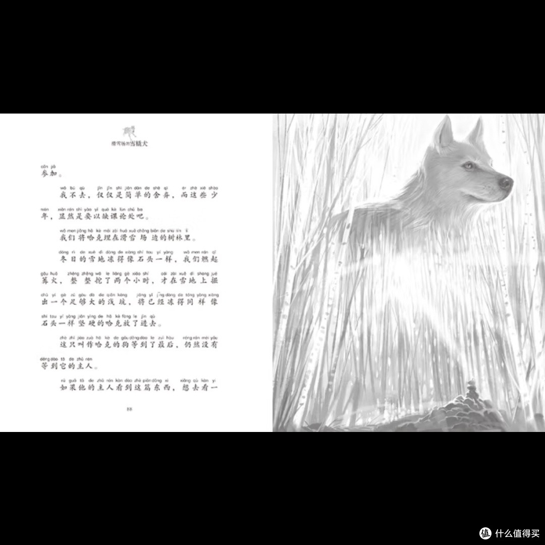 雪橇犬的传奇冒险！