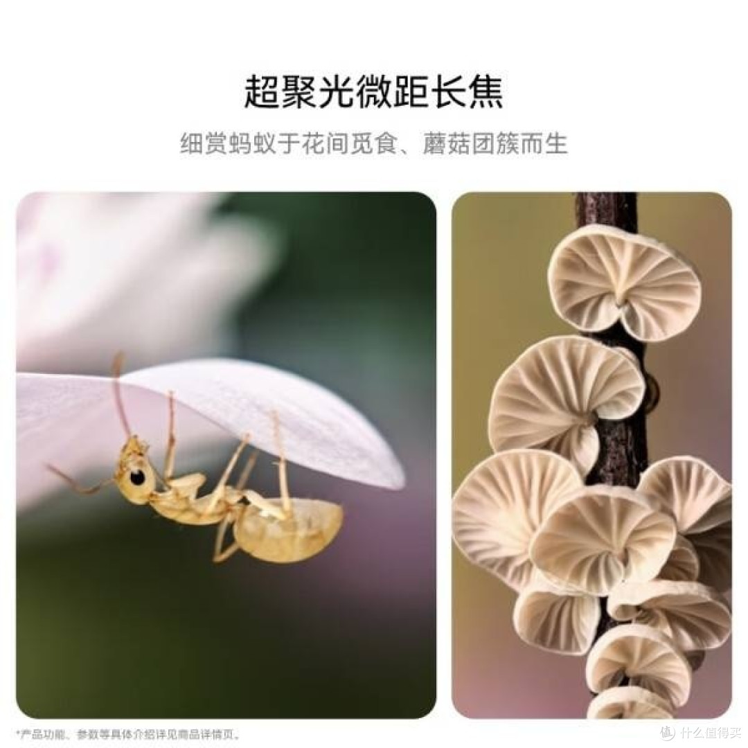 HUAWEI Pura 70 Pro雪域白:科技与美学的完美融合