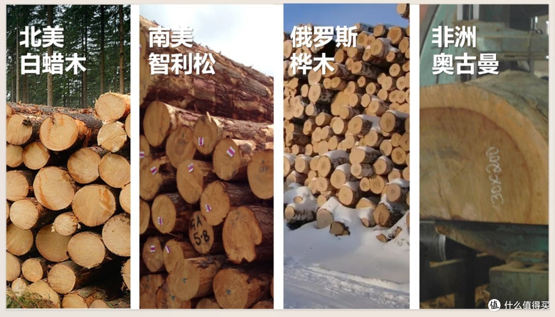 千亿儿童家具赛道进化论:东莞名家居世博园的“成长型”生意经