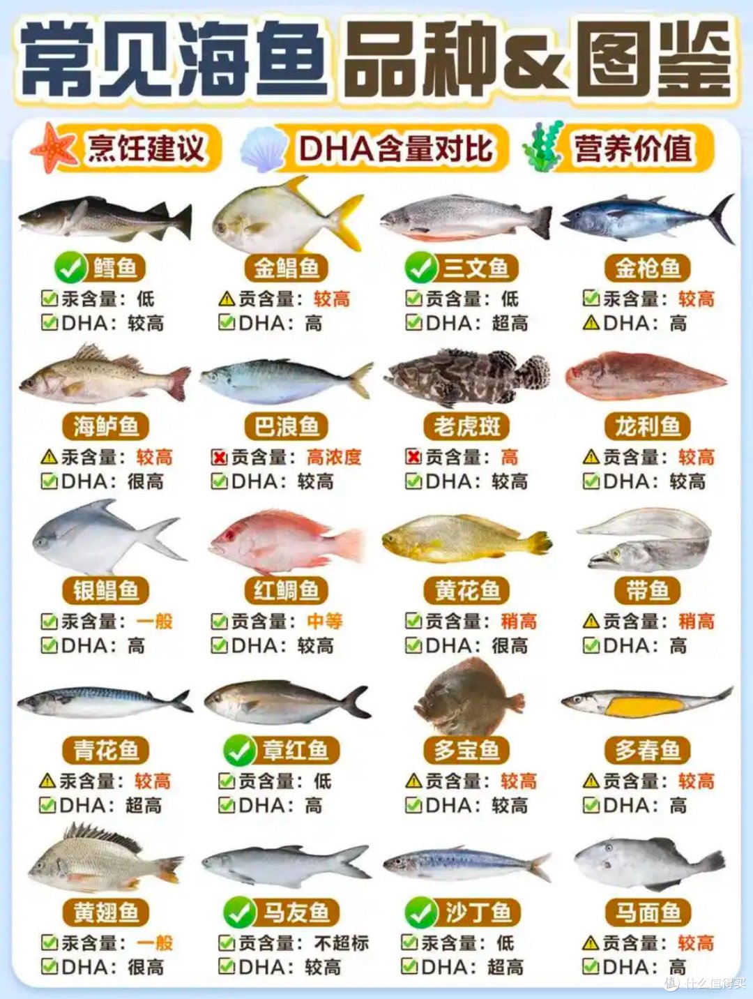 好好学习,多多吃鱼!这些海鱼基础知识你需要知道