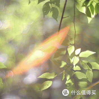 春日滋养:以饮食唤醒心灵的发芽之旅