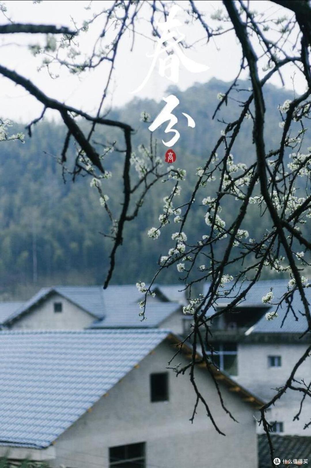“春分不调养,一年病怏怏”,春分:建议吃3样忌2事,健康少生病