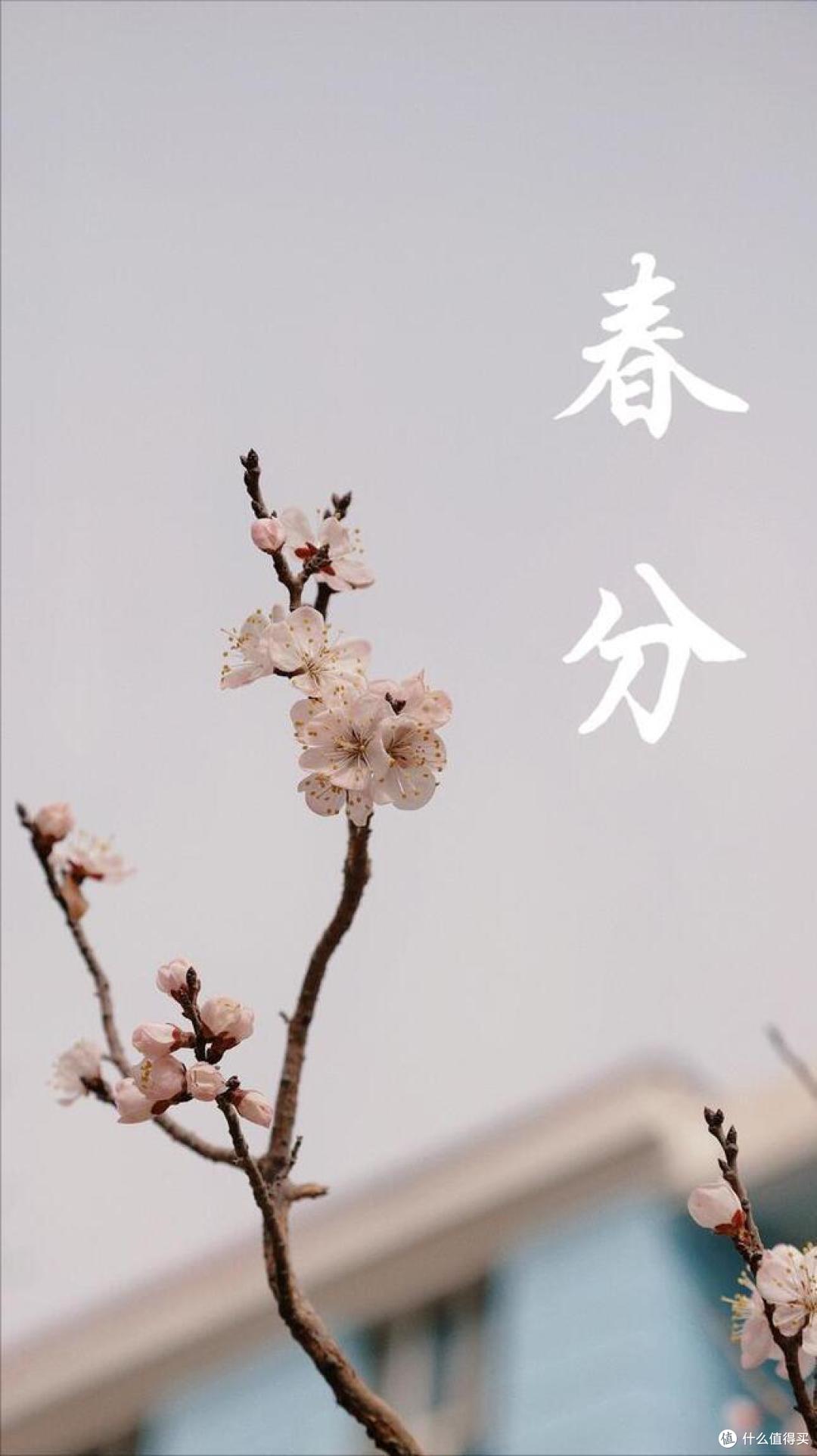 “春分不调养,一年病怏怏”,春分:建议吃3样忌2事,健康少生病