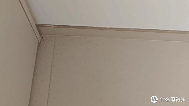 云鲸逍遥001扫地机器人实测丨仿生双目视觉是真的强还是噱头?