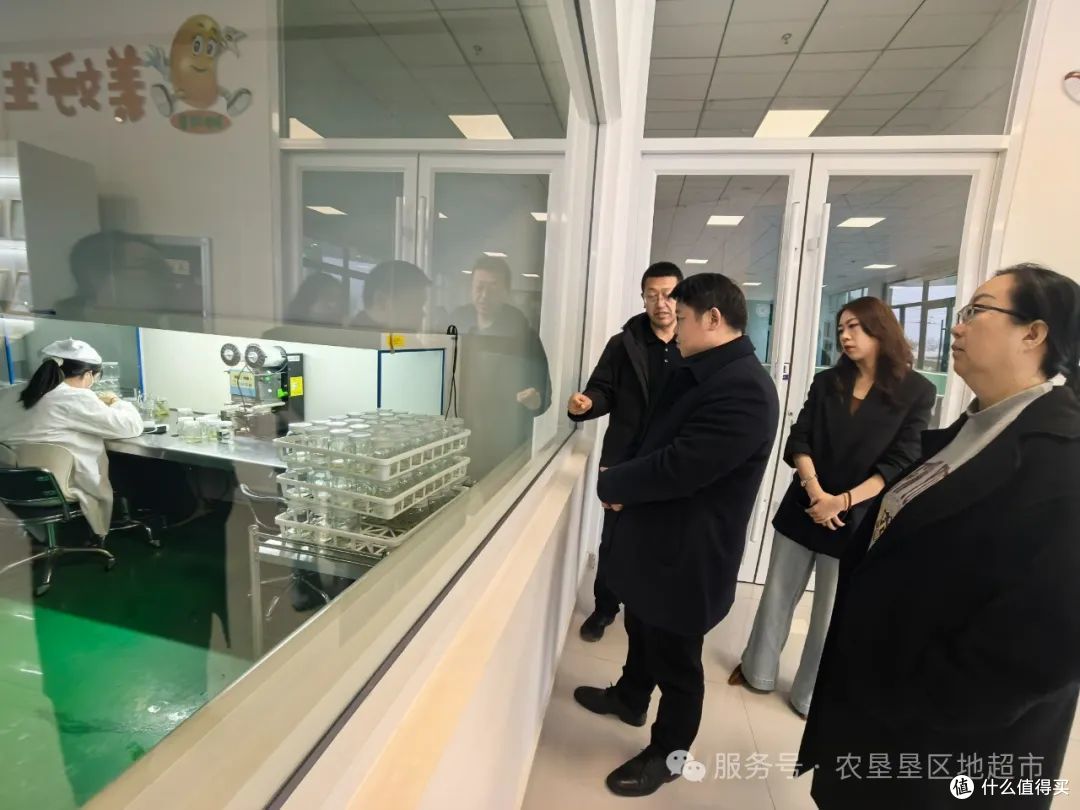 走进甘肃农垦:探秘中国马铃薯产业的“黄金名片”
