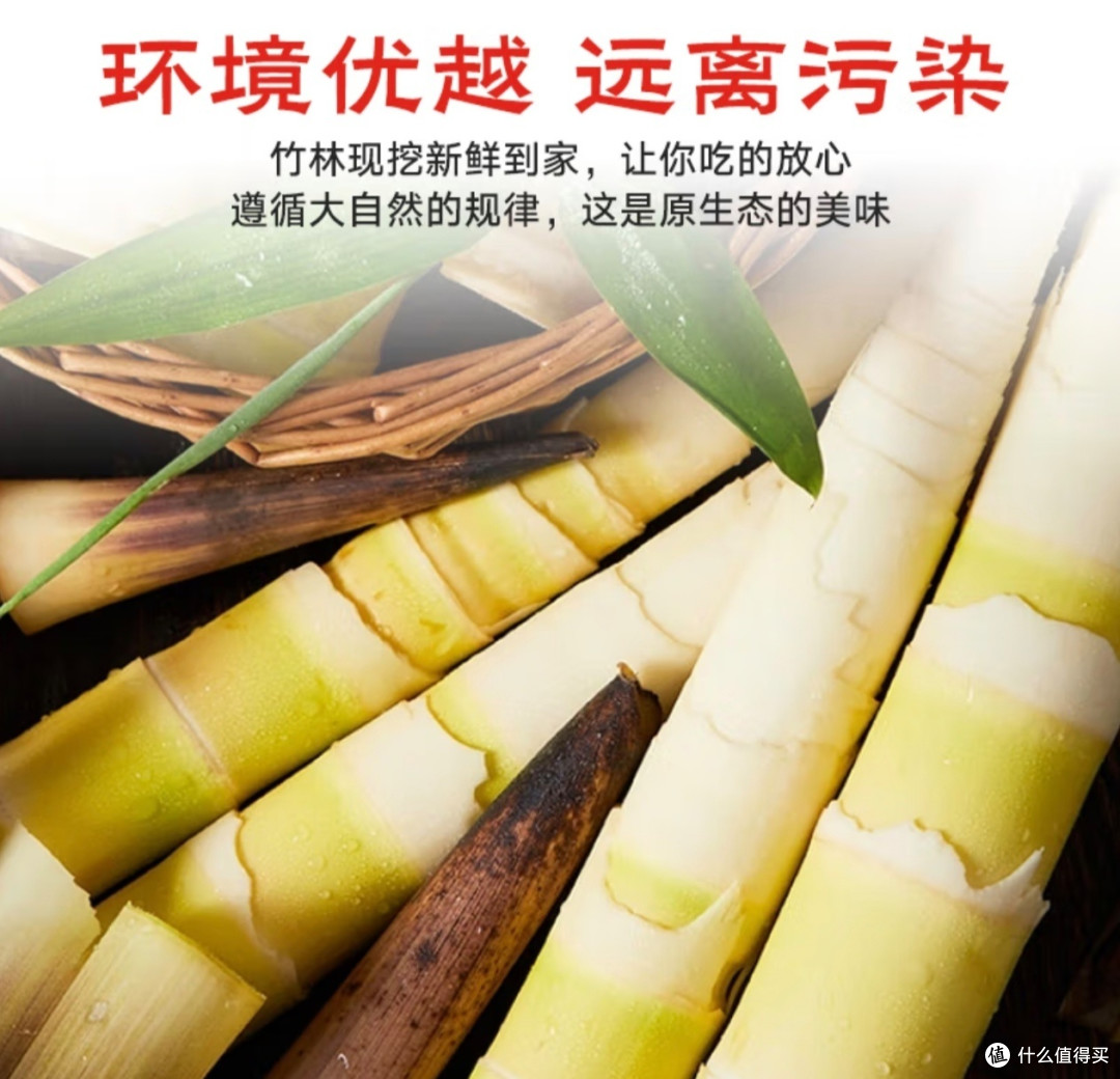 春日美食手记：品味时令鲜味，享受户外野餐，开启烘焙甜蜜时光
