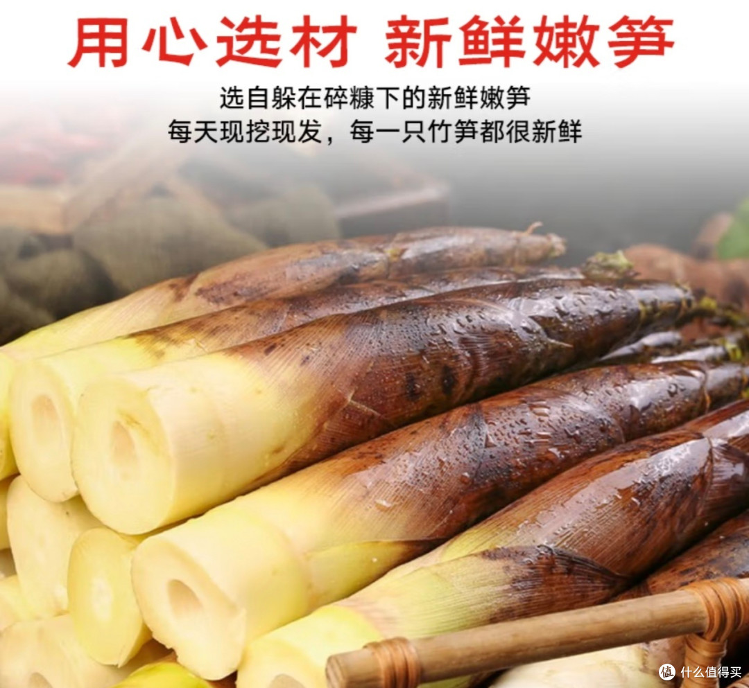 春日美食手记：品味时令鲜味，享受户外野餐，开启烘焙甜蜜时光