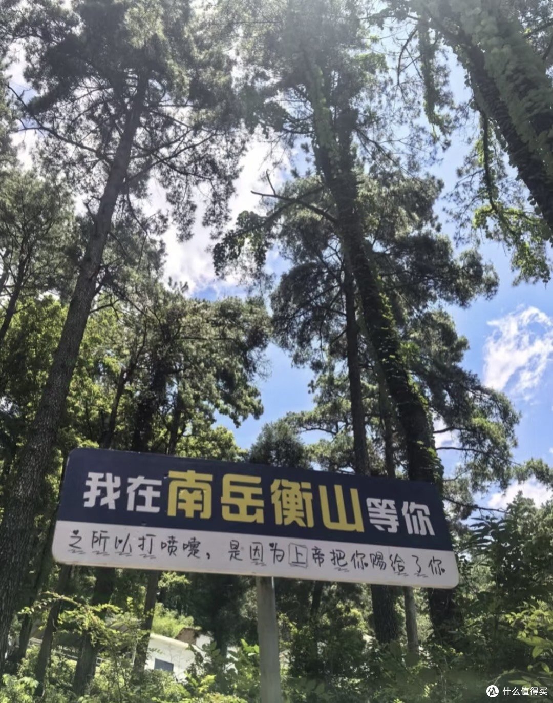 逃离城市,奔赴衡山,邂逅一场自由与浪漫
