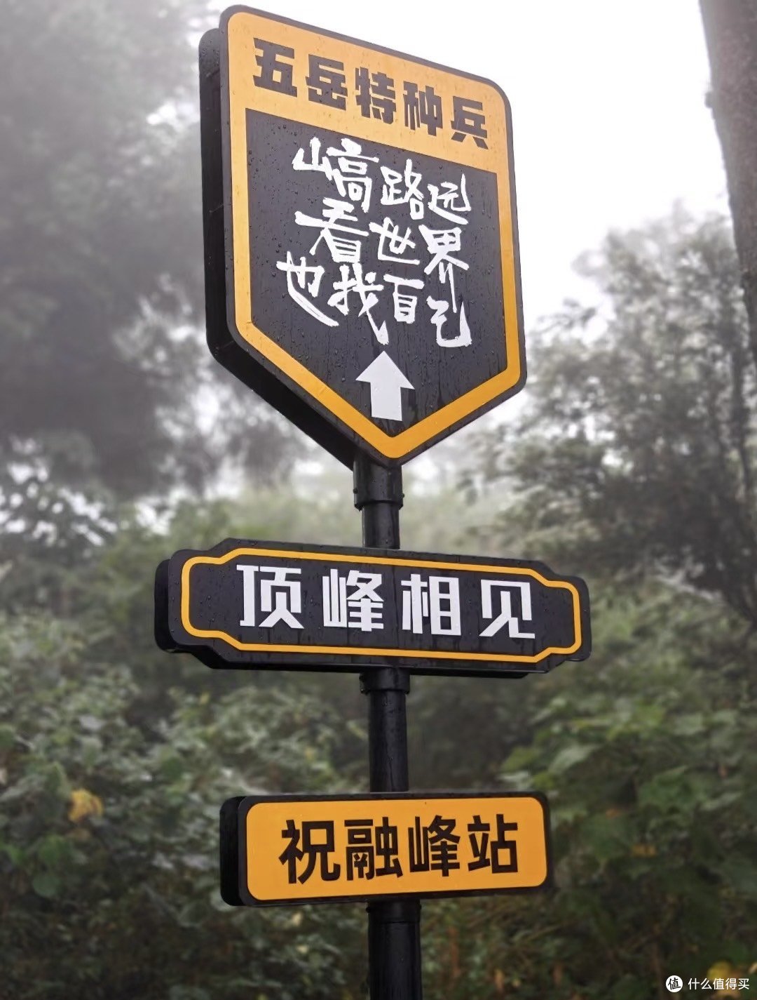 逃离城市,奔赴衡山,邂逅一场自由与浪漫
