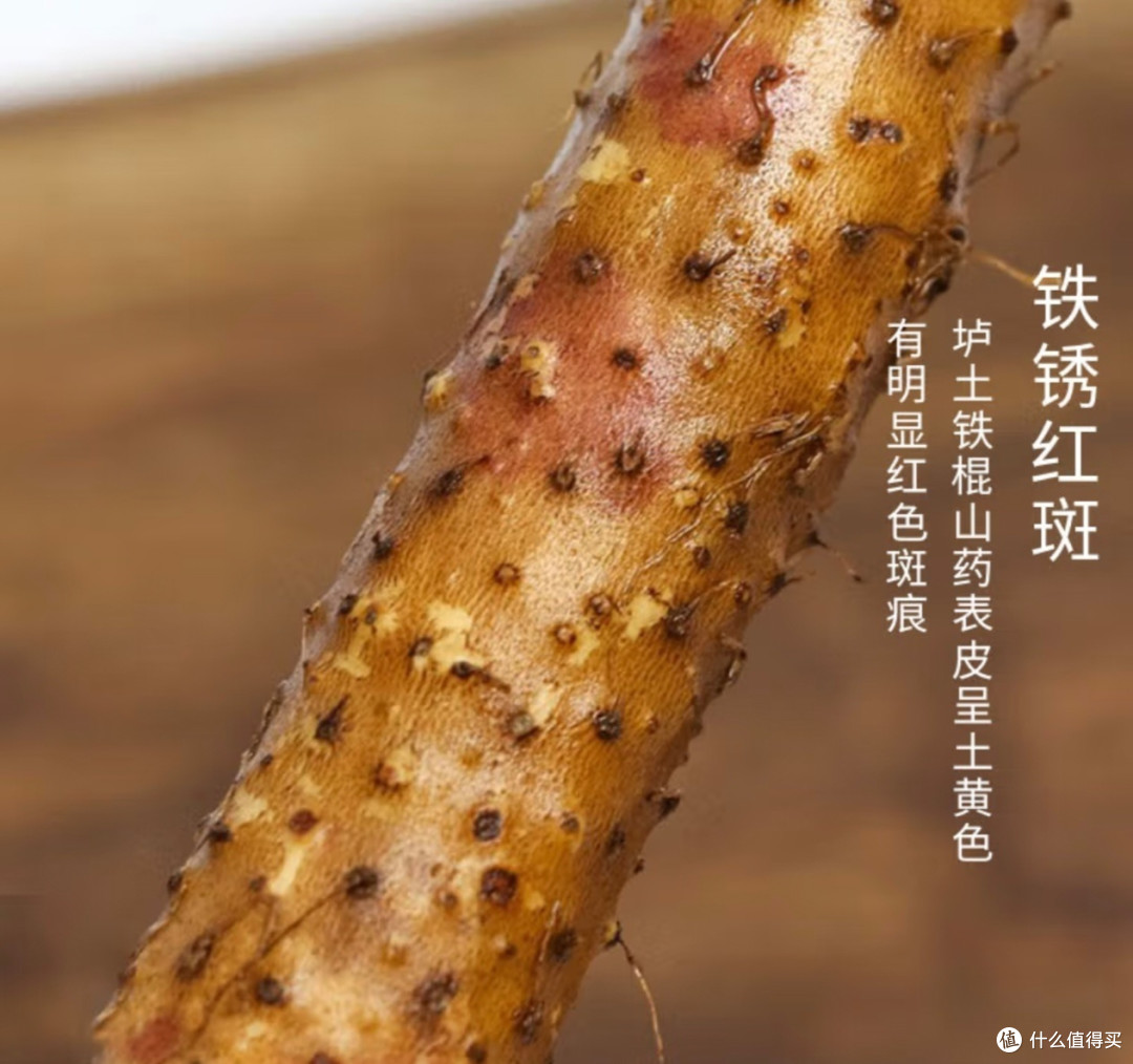 春季养生别踩坑!揭秘谣言,解锁正确养生食谱