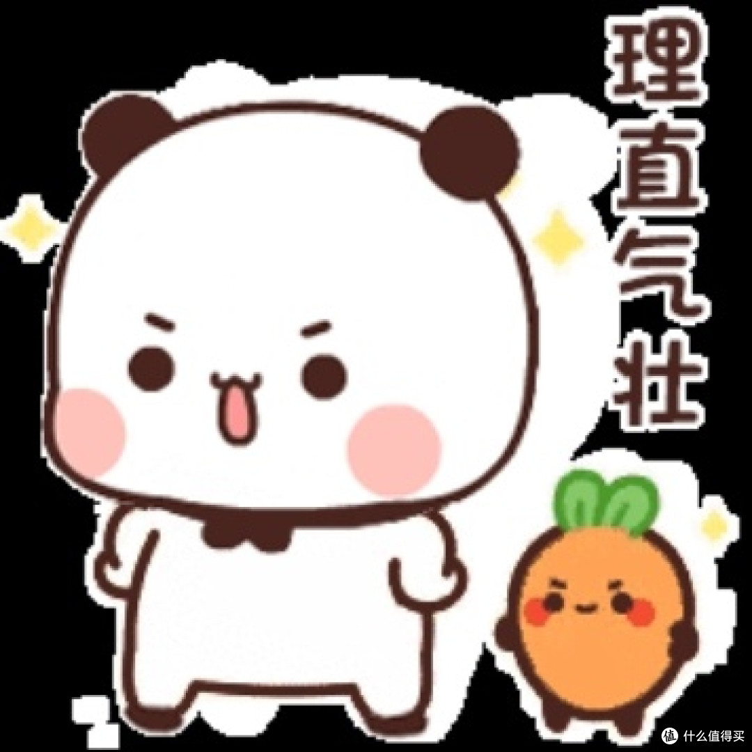 【永速无刷台扇测评:12级风量王者,静到猫都怀疑喵生!】