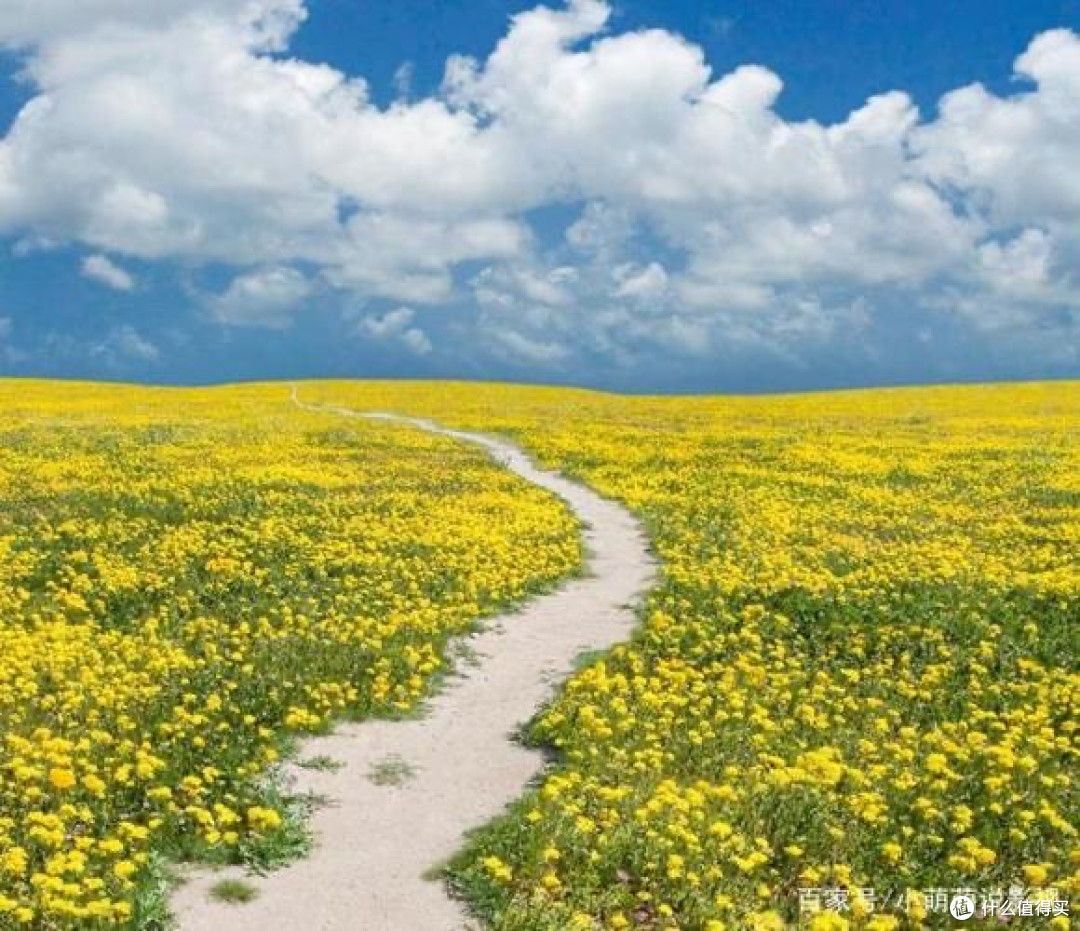 KuyconP27L,苹果显示器平替?