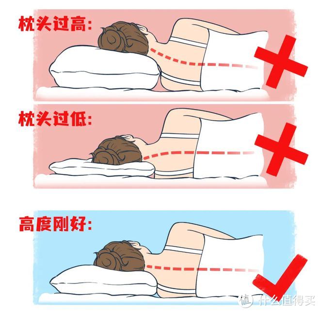 如何选择枕头？科学护颈与舒适睡眠指南，内含4款高品质枕头推荐