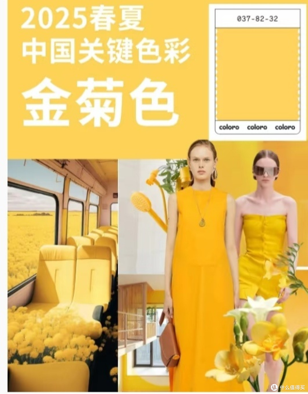 春季家居焕新,色彩搭配指南来啦