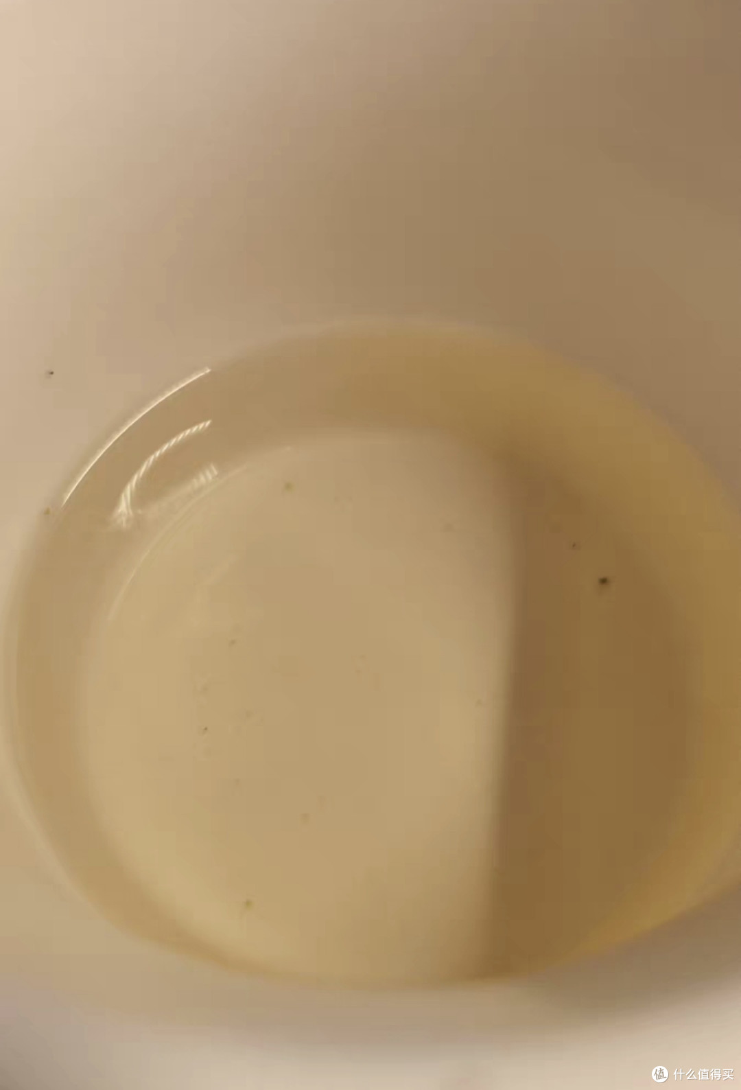 细品2025春茶，感受西湖韵味