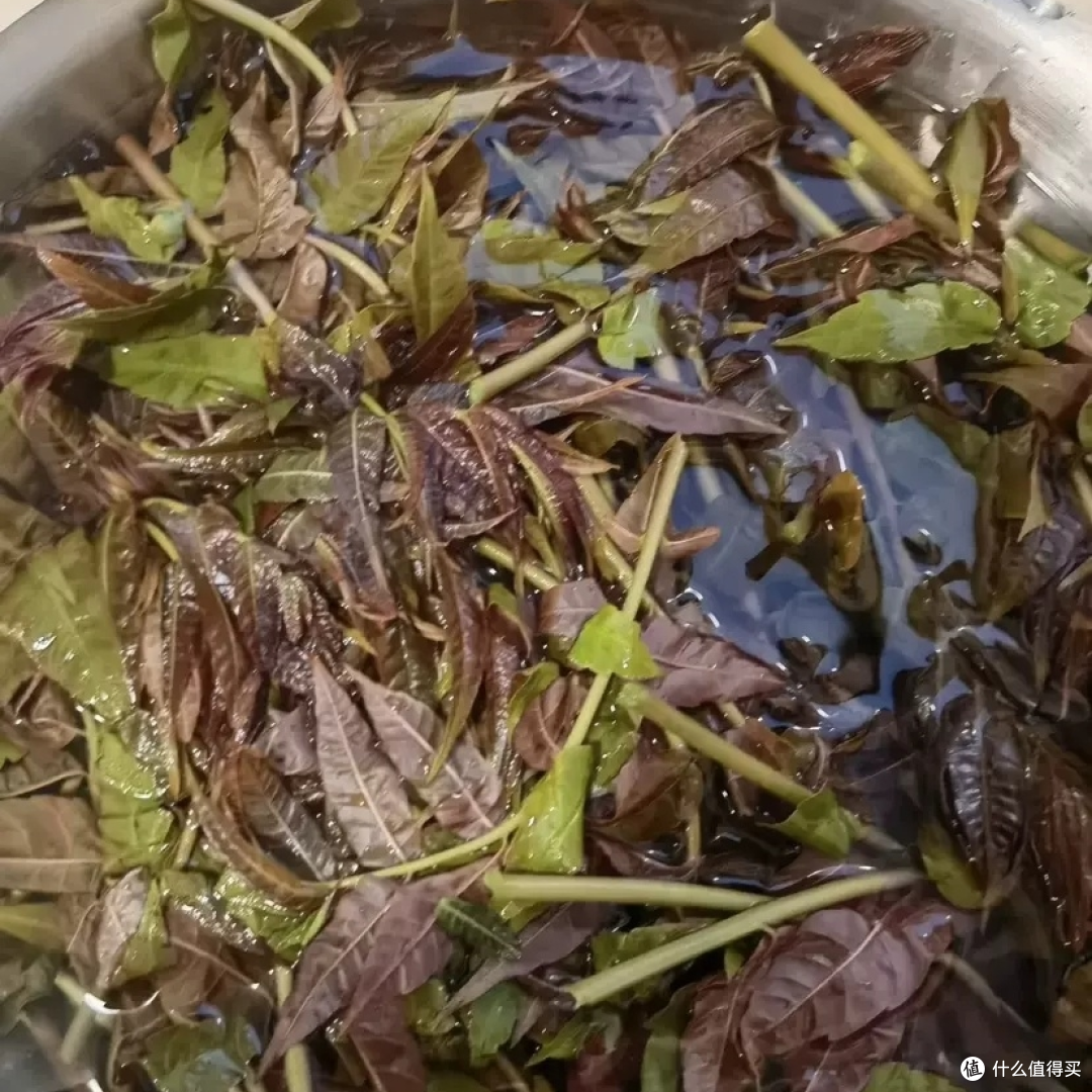 春日限定：香椿炒鸡蛋