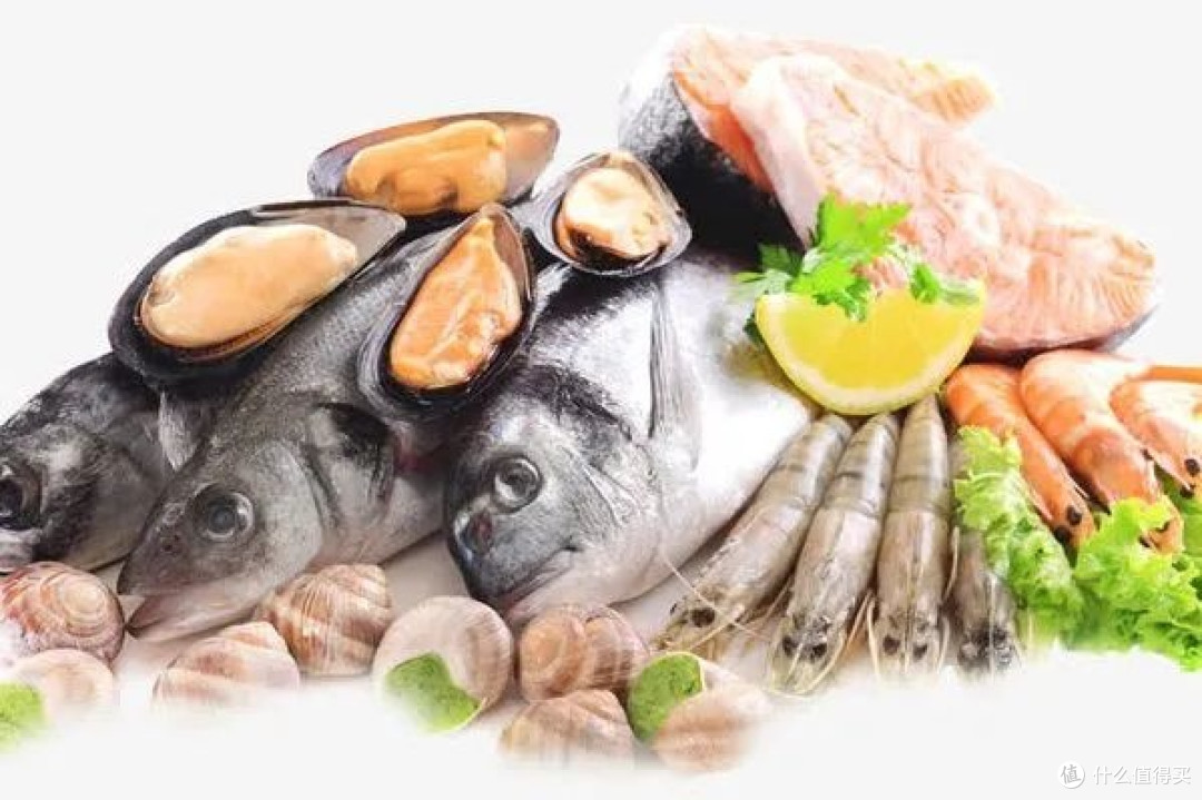 如何从饮食上做到科学减肥？